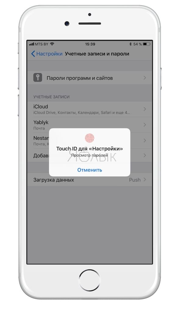 Как просмотреть пароли iCloud Keychain на iPhone и iPad