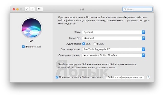 Как вызывать Siri на Mac (macOS Sierra) с клавиатуры