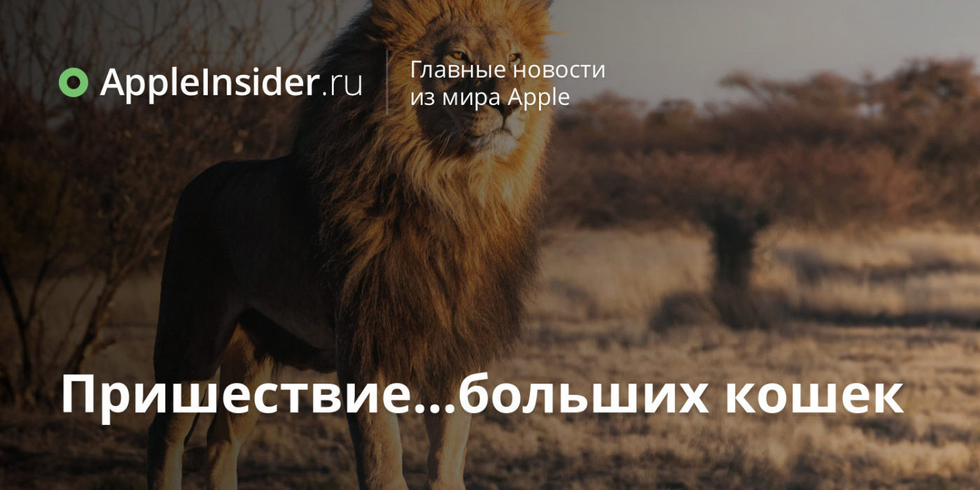 Пришествие…больших кошек