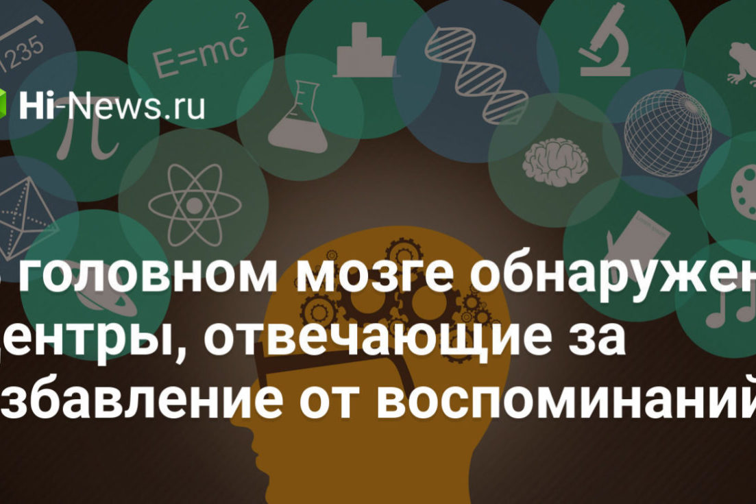 В головном мозге обнаружены центры, отвечающие за избавление от воспоминаний
