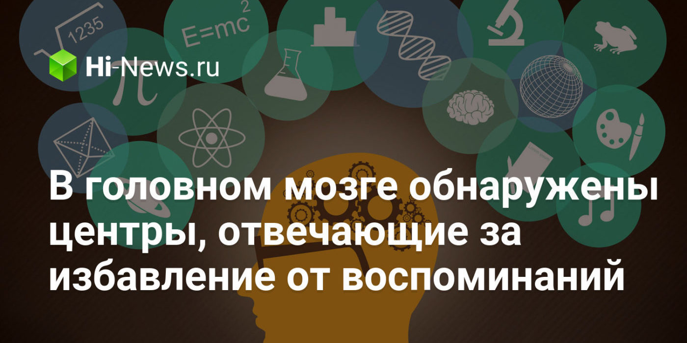 В головном мозге обнаружены центры, отвечающие за избавление от воспоминаний