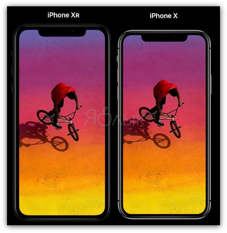 Сравнение размеров iPhone XR и iPhone X