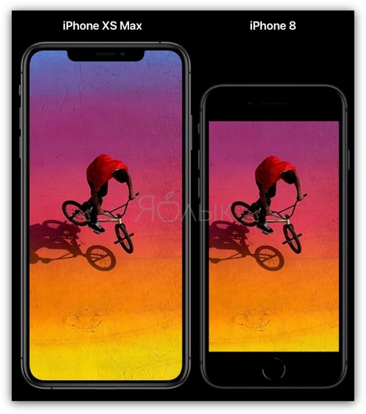 Размеры Сравнение размеров iPhone XR и iPhone 8 Plus