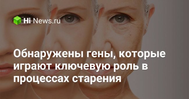Обнаружены гены, которые играют ключевую роль в процессах старения