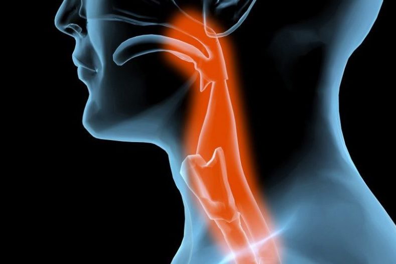 В лаборатории впервые вырастили ткани пищевода