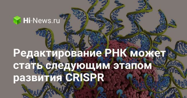 Редактирование РНК может стать следующим этапом развития CRISPR