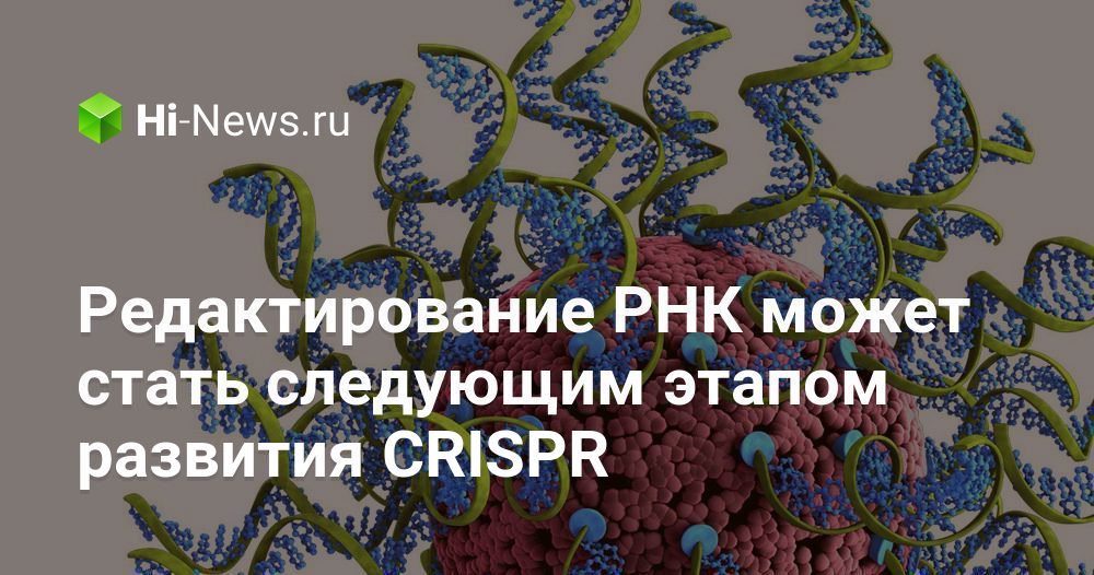 Редактирование РНК может стать следующим этапом развития CRISPR