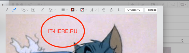 Как использовать инструмент Разметка для файлов в Почте на Mac