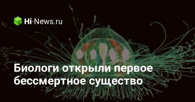 Биологи открыли первое бессмертное существо