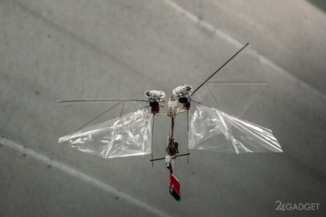 DelFly выпустила нового робота-муху – Nimble