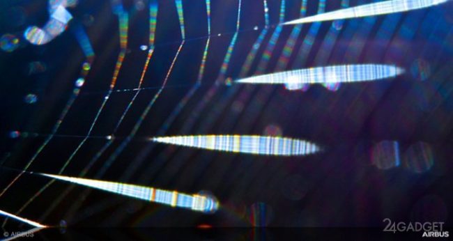 Из паучьей нити сделают настоящий самолет