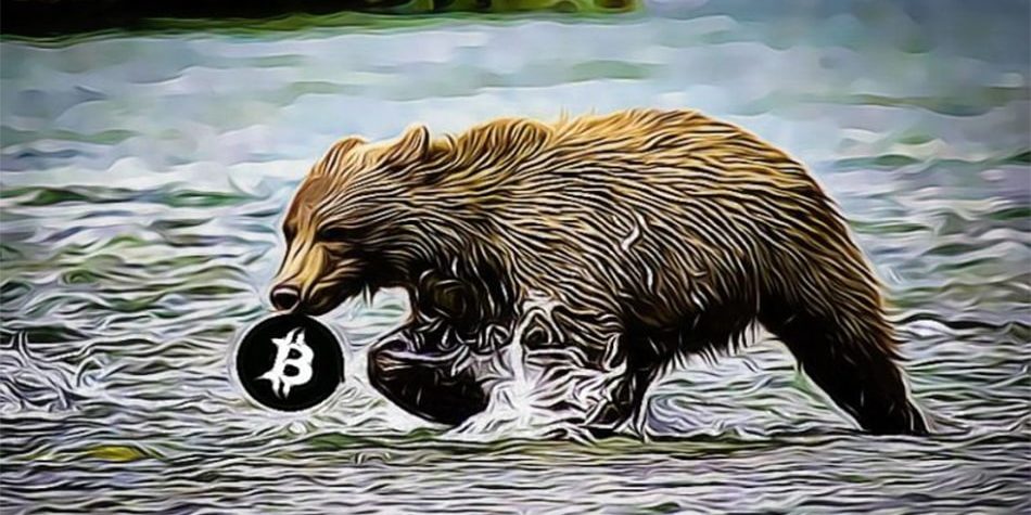 Медвежий рынок не помешает росту биткоина