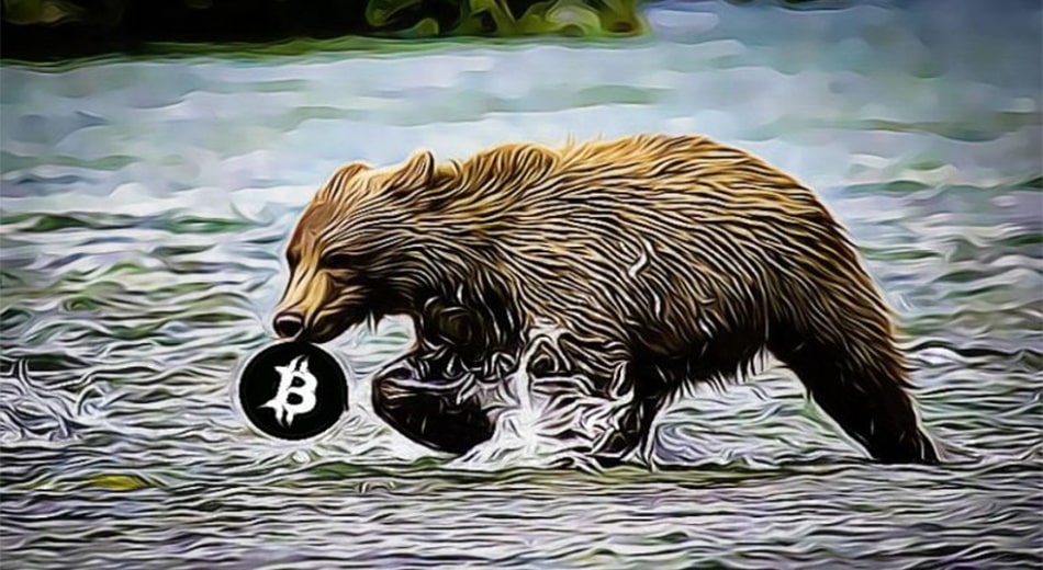 медведи на крипторынке рост биткоина