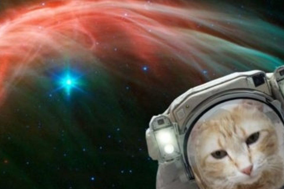 Новое приложение от NASA позволит сделать селфи на фоне дальнего космоса