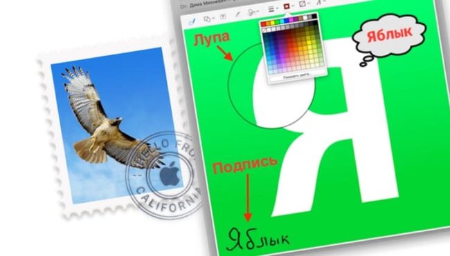 Разметка, или как рисовать (делать пометки) на фото или PDF в приложении Почта (Mail) на Mac