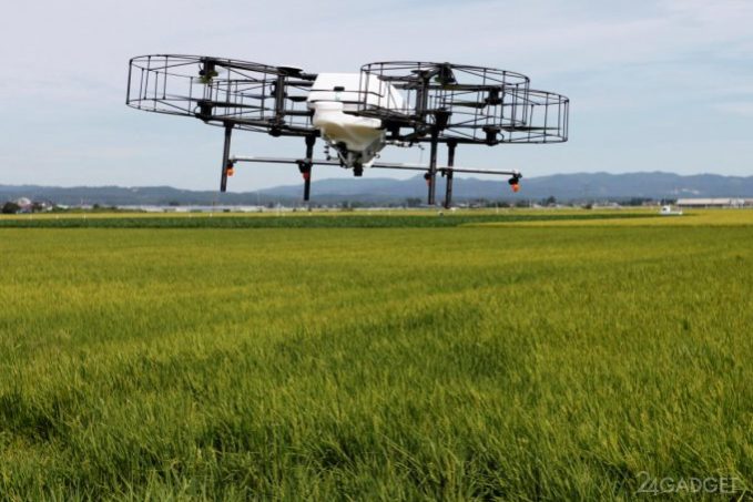 Технологии заставят японское население вернуться в село