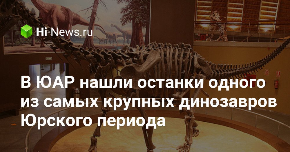 В ЮАР нашли останки одного из самых крупных динозавров Юрского периода