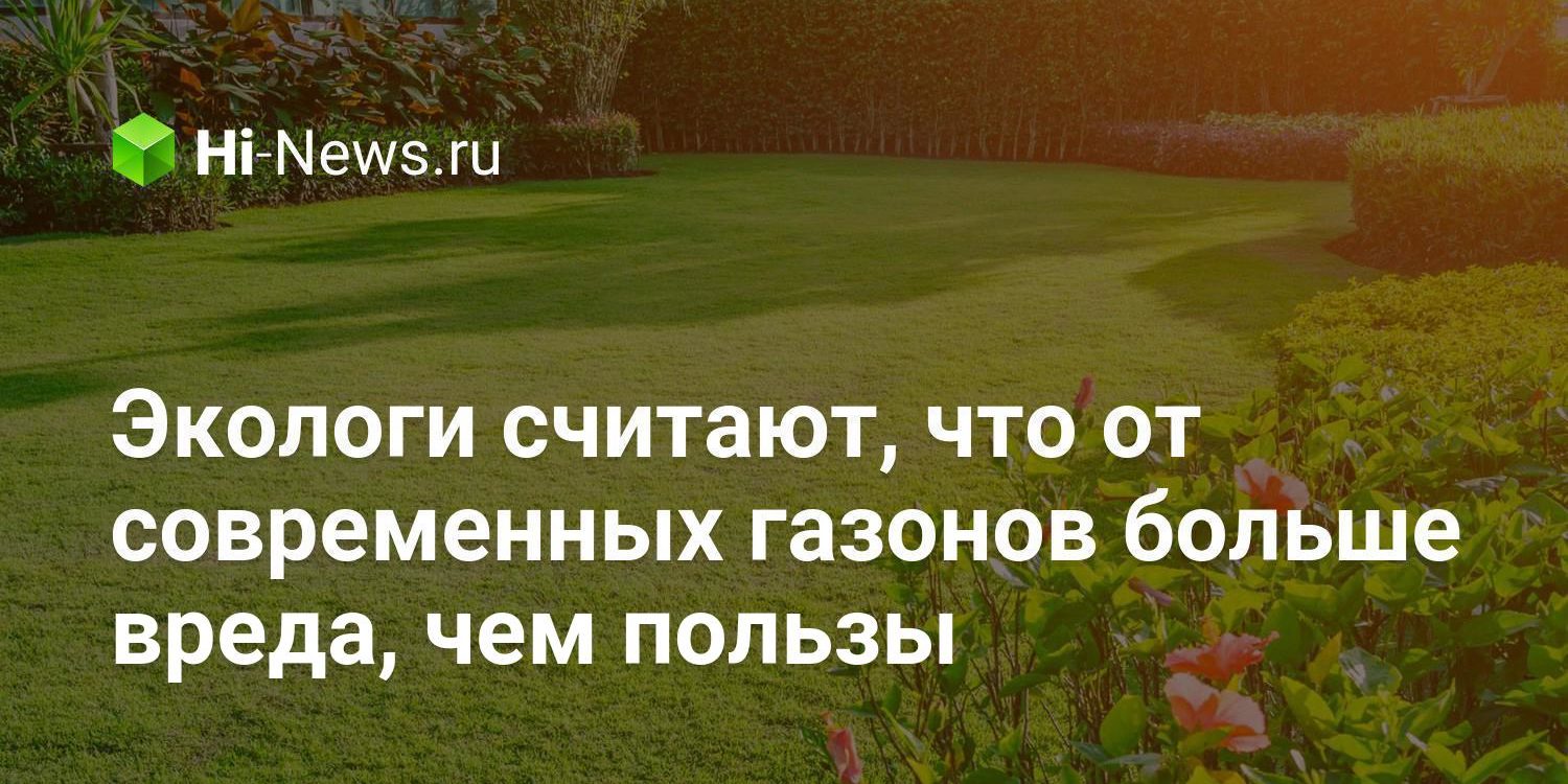 Экологи считают, что от современных газонов больше вреда, чем пользы