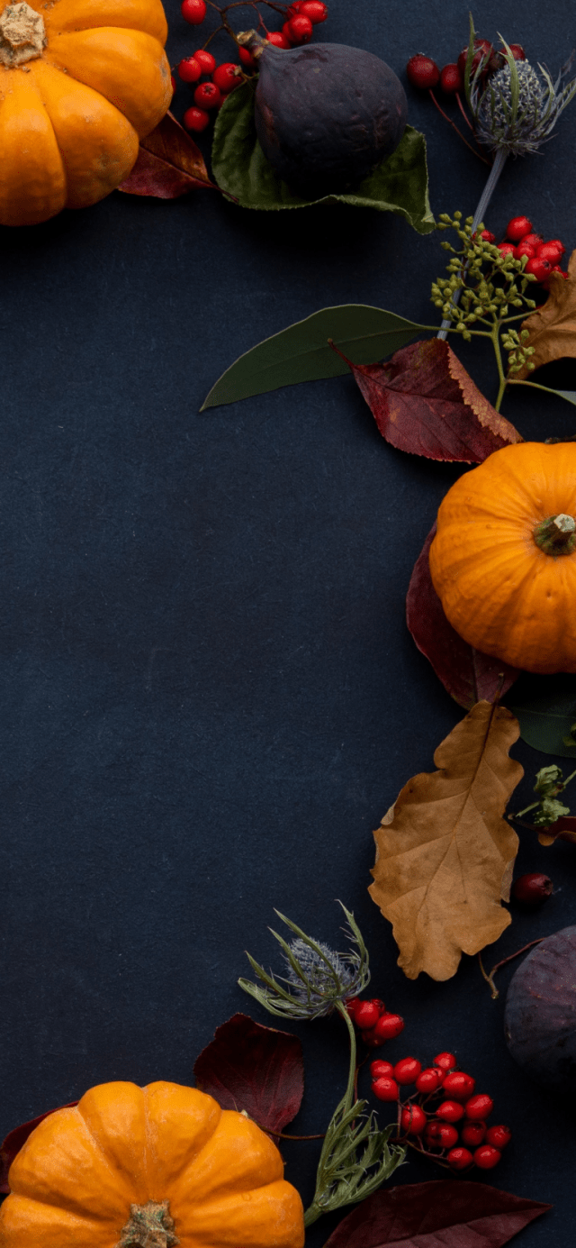 orange-pumpkin-wreath-iphone-xs-max-wallpaper-joanna-kosinska-768×1662