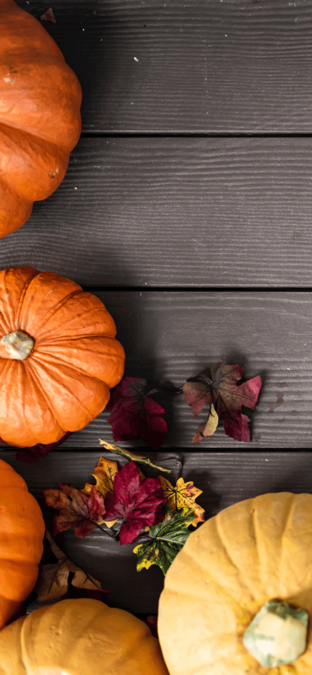 orange-pumpkin-table-iphone-xs-max-wallpaper-rawpixel-768×1662