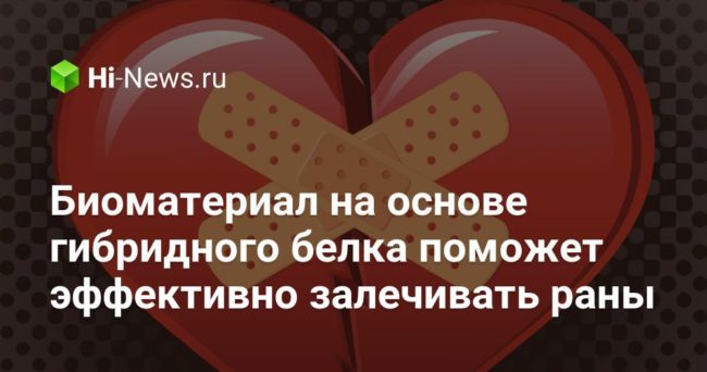 Биоматериал на основе гибридного белка поможет эффективно залечивать раны