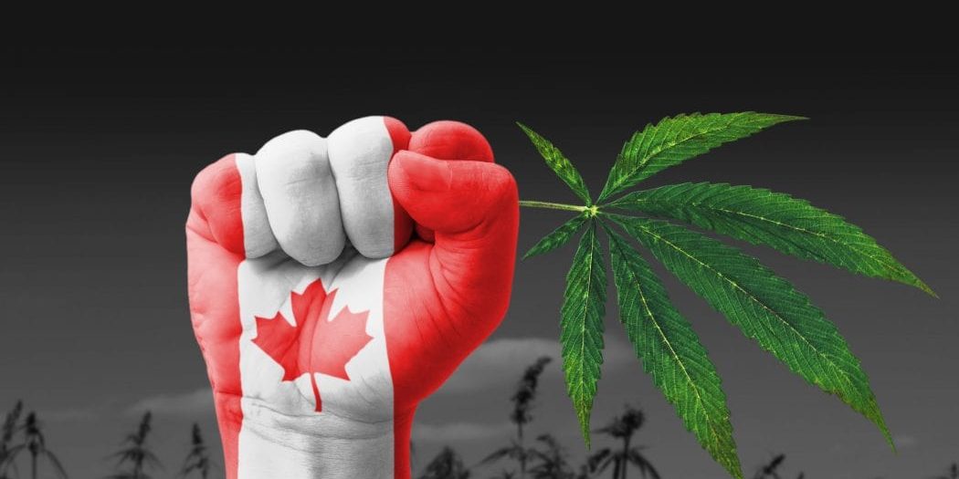В Канаде запускают глобальный блокчейн-проект для индустрии каннабиса