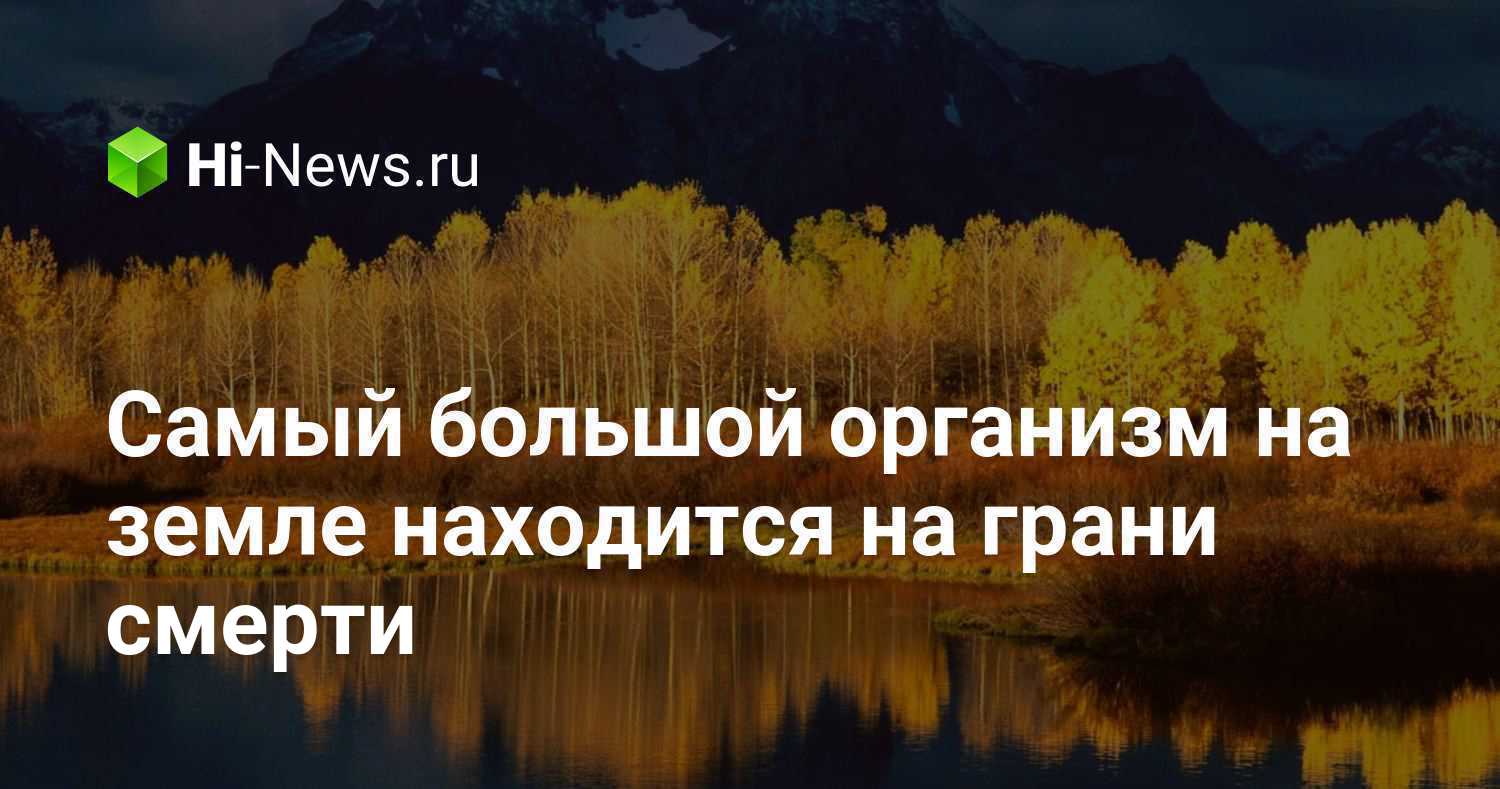 Самый большой организм на земле находится на грани смерти