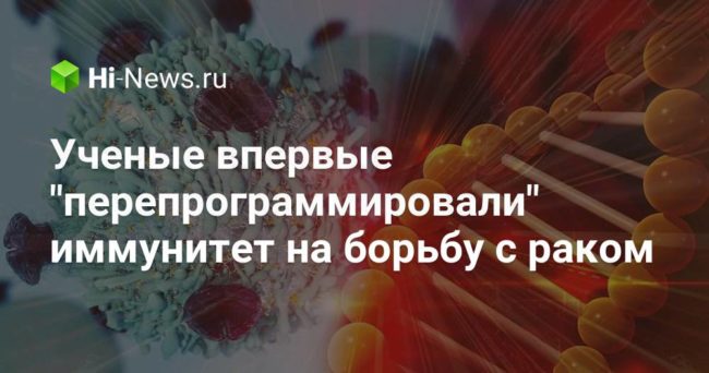 Ученые впервые «перепрограммировали» иммунитет на борьбу с раком