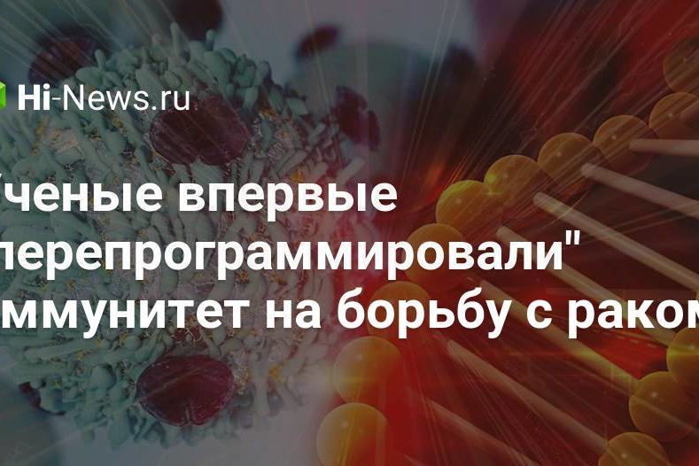 Ученые впервые «перепрограммировали» иммунитет на борьбу с раком
