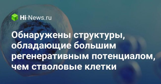 Обнаружены структуры, обладающие большим регенеративным потенциалом, чем стволовые клетки
