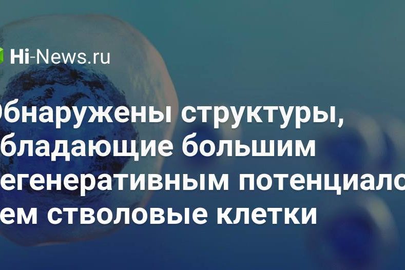 Обнаружены структуры, обладающие большим регенеративным потенциалом, чем стволовые клетки