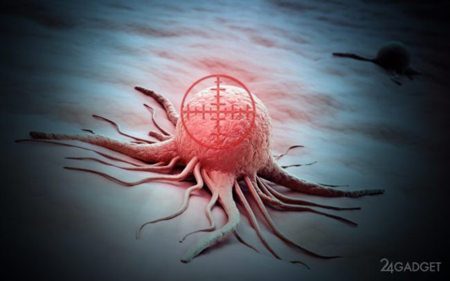 Иммунитет научили настраиваться против рака (3 фото)