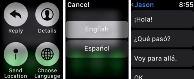 On-Apple-Watch-Change-Message-Language-745×303