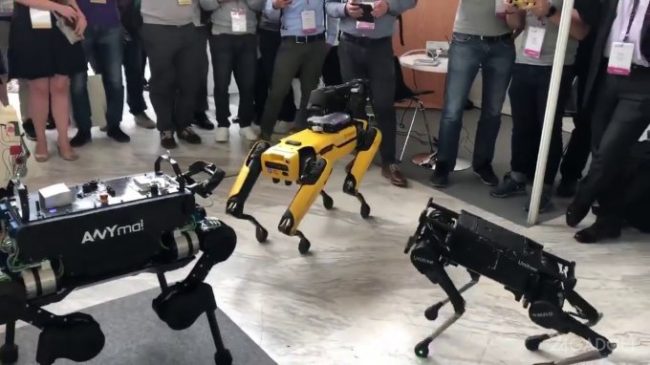 Робособакам SpotMini, ANYmal и Laikago устроили соревнование (видео)