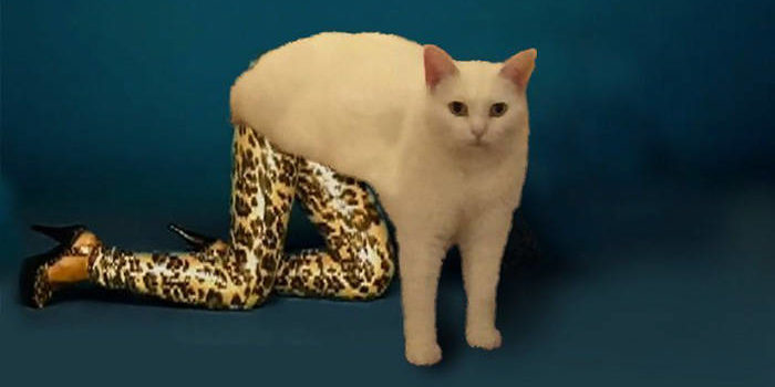 Семь раз об WAVES, один раз об Ripple: обзор криптопоговорок и мемов недели