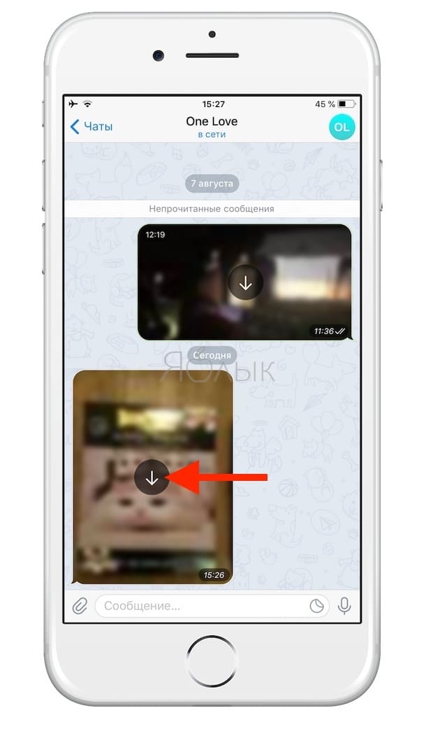 Как отключить автосохранение Фото, Видео, голосовых сообщений и файлов в Телеграм