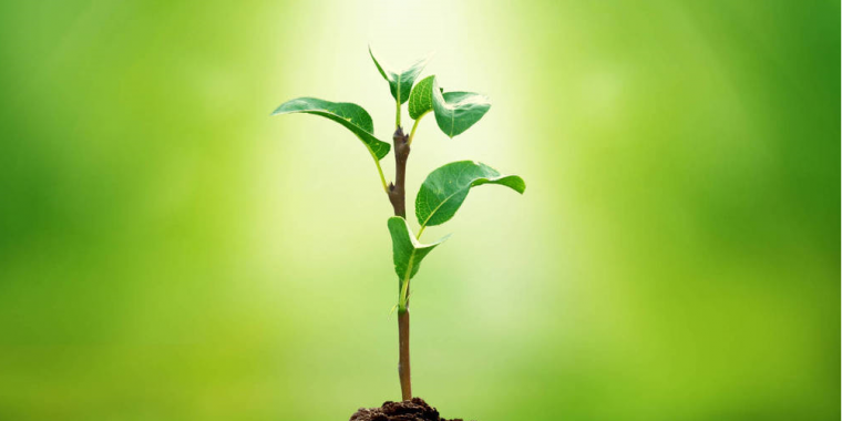 «Второе рождение» ZCash и другие ключевые события уходящей недели (29.10.2018 — 04.11.2018)