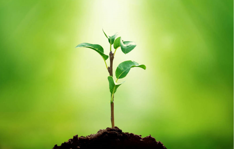 «Второе рождение» ZCash и другие ключевые события уходящей недели (29.10.2018 — 04.11.2018)