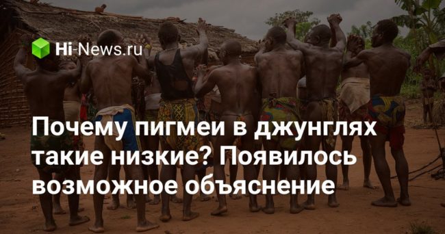 Почему пигмеи в джунглях такие низкие? Появилось возможное объяснение