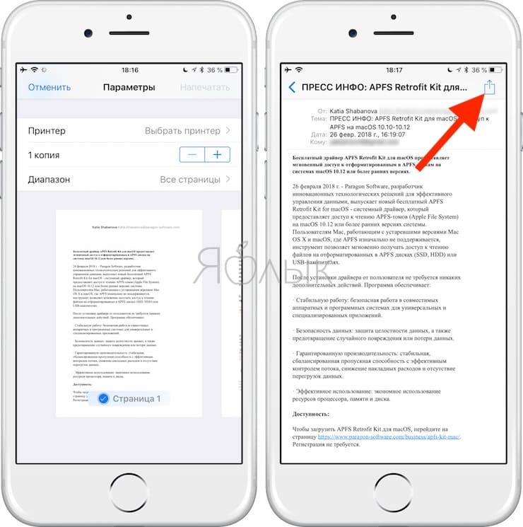 Как сохранить письмо Email в формате PDF на iPhone и iPad