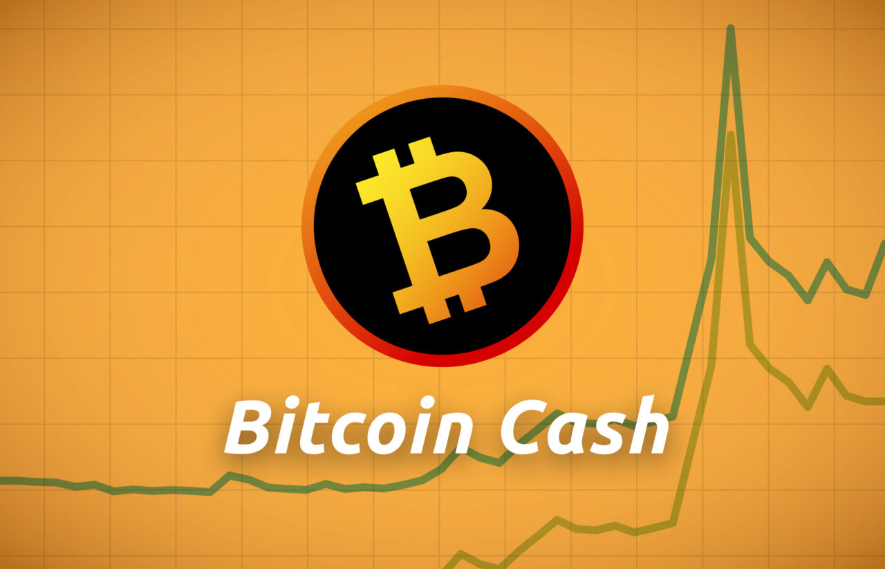 Buy bitcoin cash usa bitcoin brain wallet hack