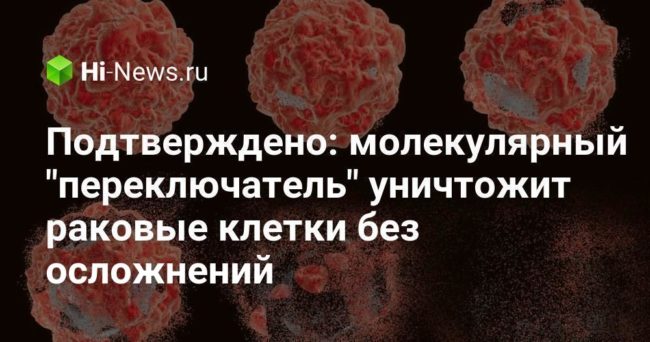 Подтверждено: молекулярный «переключатель» уничтожит раковые клетки без осложнений