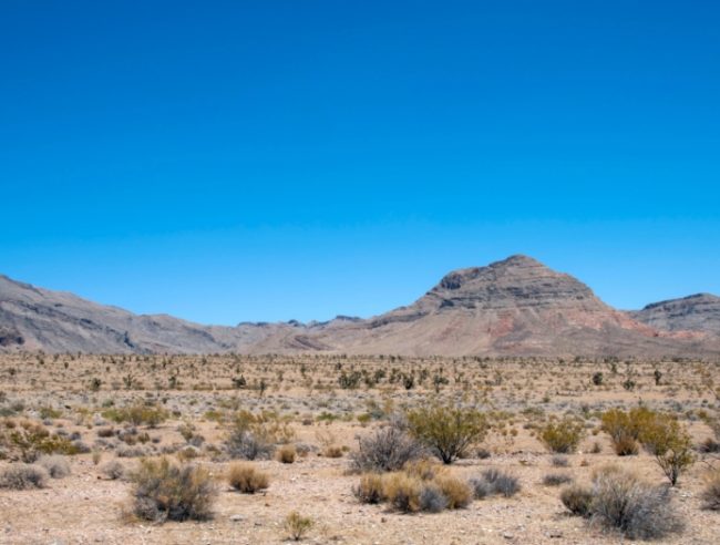 Криптоинвестор вложил $300 млн в строительство «блокчейн-города» в пустыне Невады