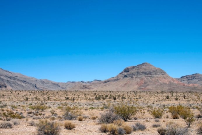 Криптоинвестор вложил $300 млн в строительство «блокчейн-города» в пустыне Невады