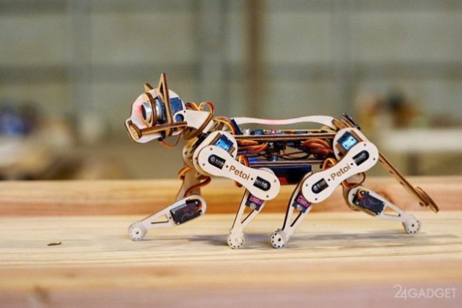 Робокот Nybble умеет танцевать, бегать и подавать лапку (9 фото + видео)