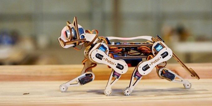 Робокот Nybble умеет танцевать, бегать и подавать лапку (9 фото + видео)