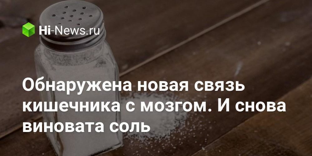 Обнаружена новая связь кишечника с мозгом. И снова виновата соль