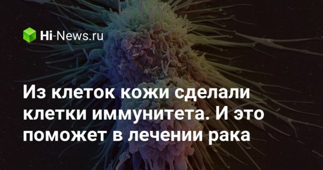 Из клеток кожи сделали клетки иммунитета. И это поможет в лечении рака