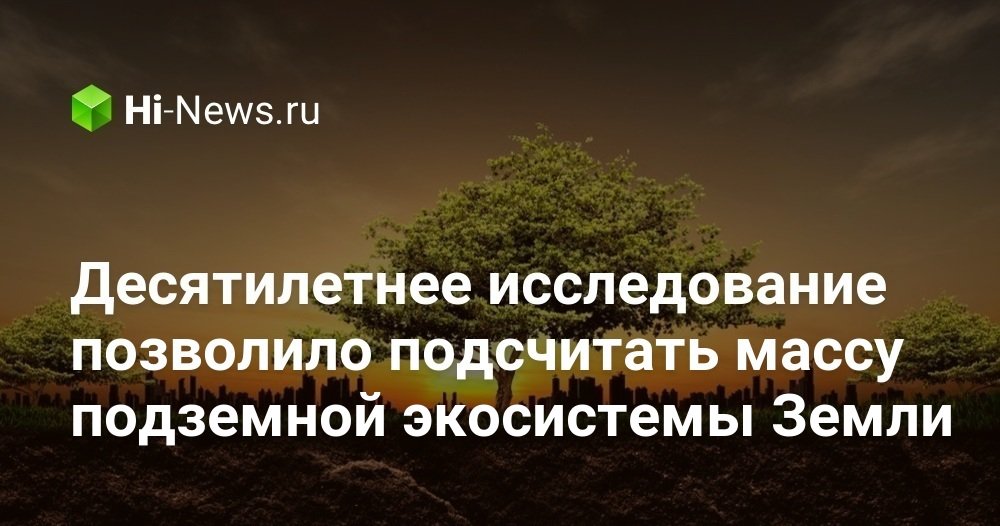 Десятилетнее исследование позволило подсчитать массу подземной экосистемы Земли
