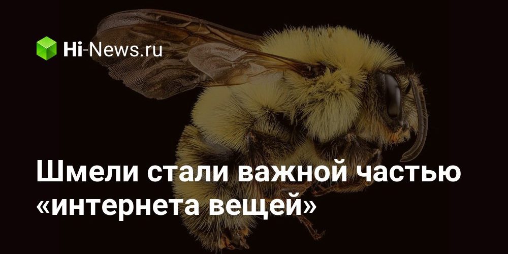 И станут важной частью